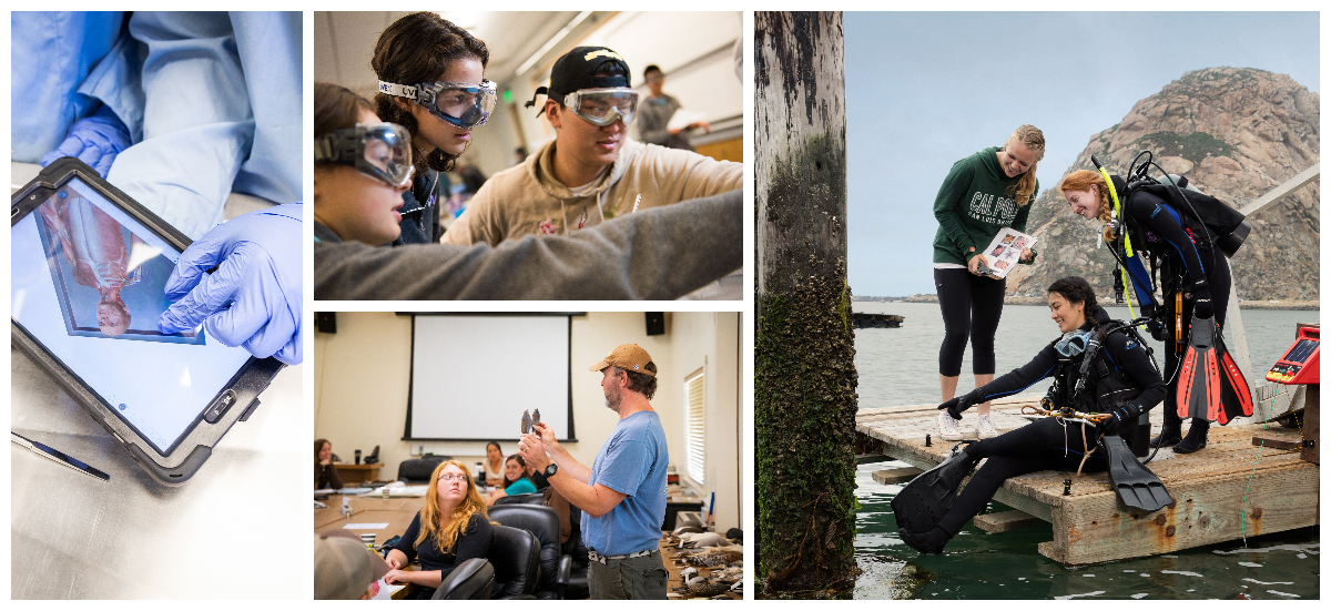 Current Students Biological Sciences Department Cal Poly, San Luis